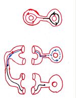 2-torus-covering.jpg